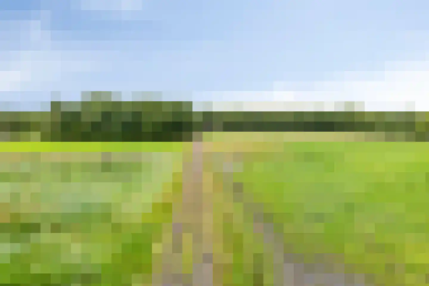 De Vloeivelden 2 Stadskanaal thumbnail 34