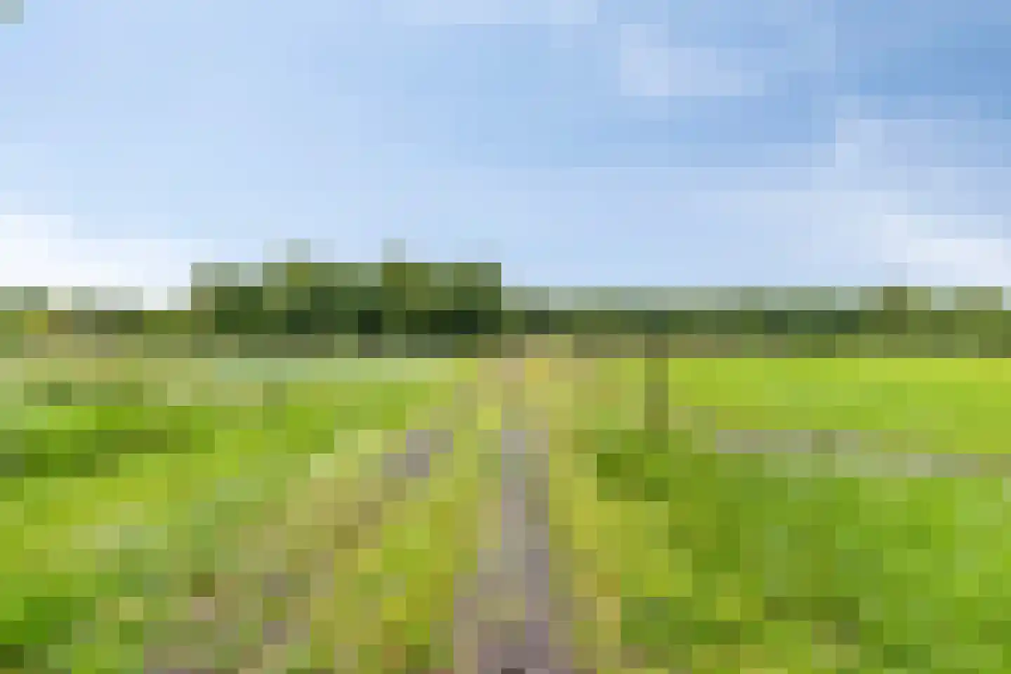De Vloeivelden 2 Stadskanaal thumbnail 35