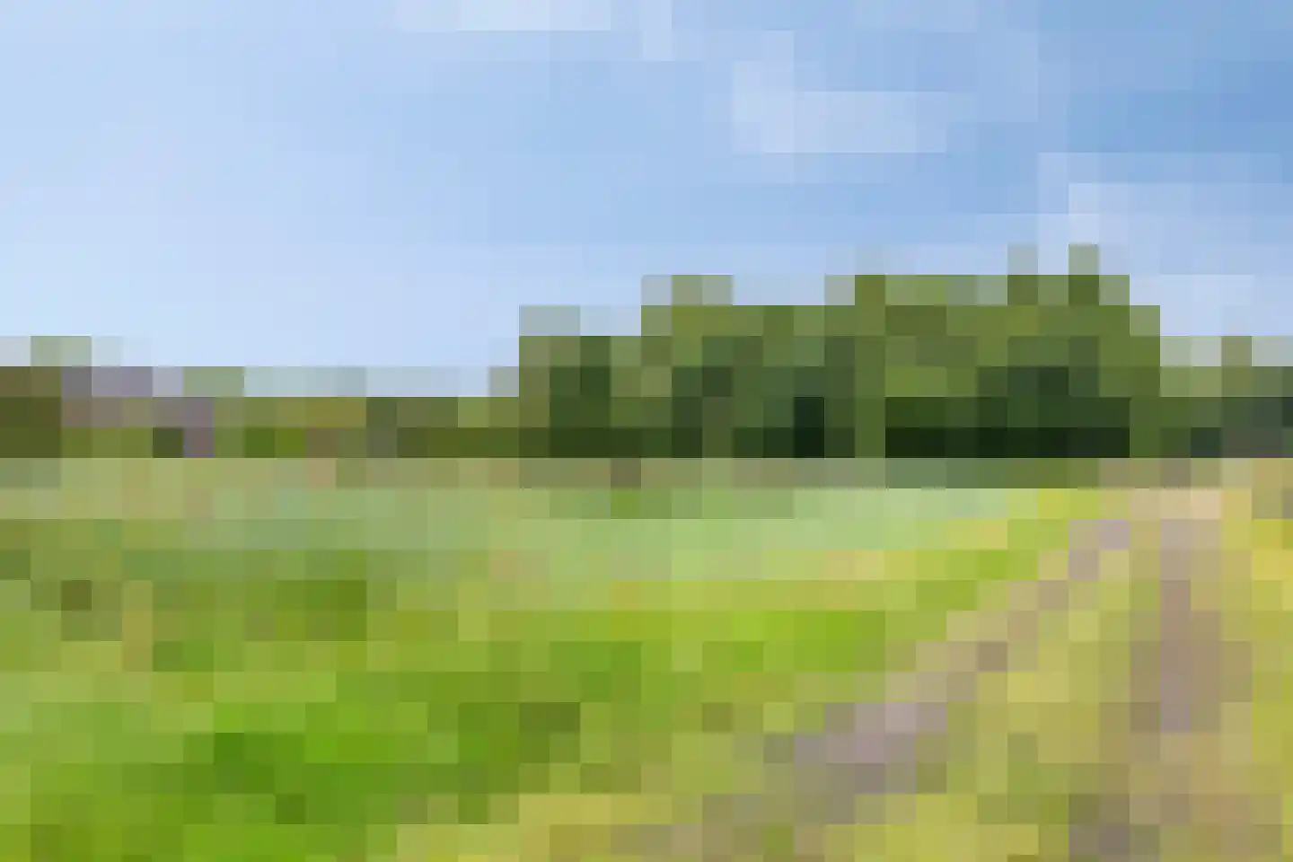 De Vloeivelden 2 Stadskanaal thumbnail 37