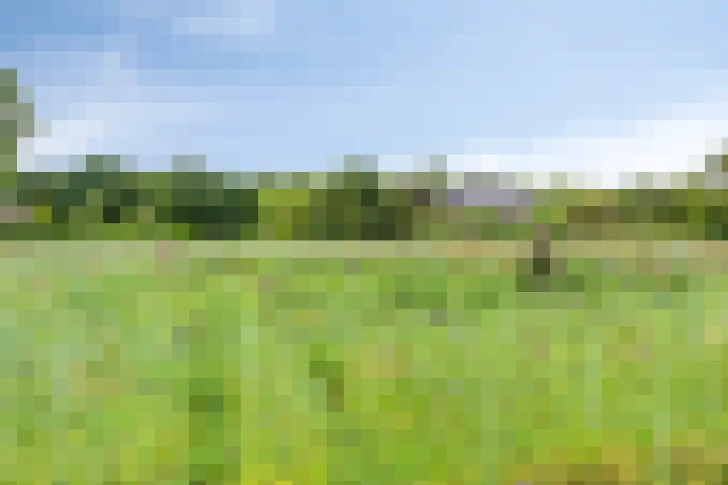 De Vloeivelden 2 Stadskanaal thumbnail 38