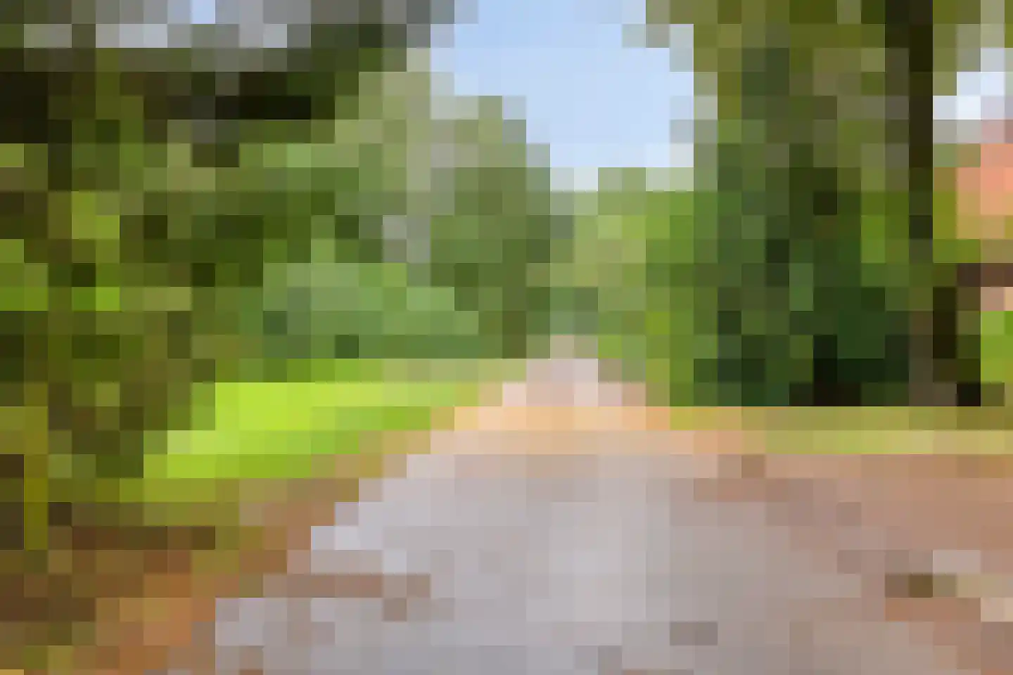 De Vloeivelden 2 Stadskanaal thumbnail 39