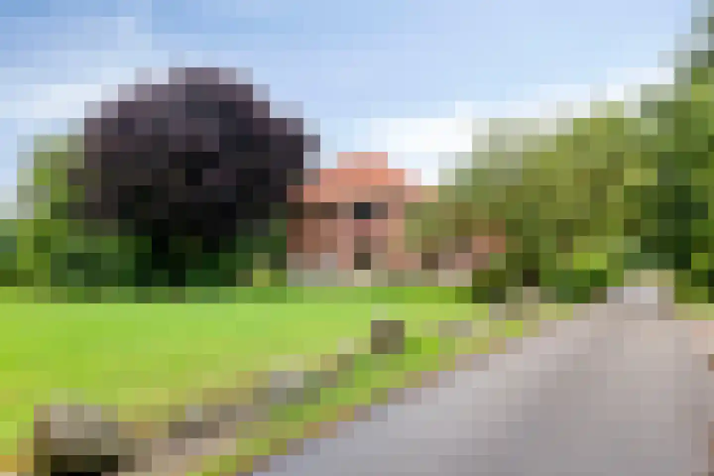 De Vloeivelden 2 Stadskanaal thumbnail 41