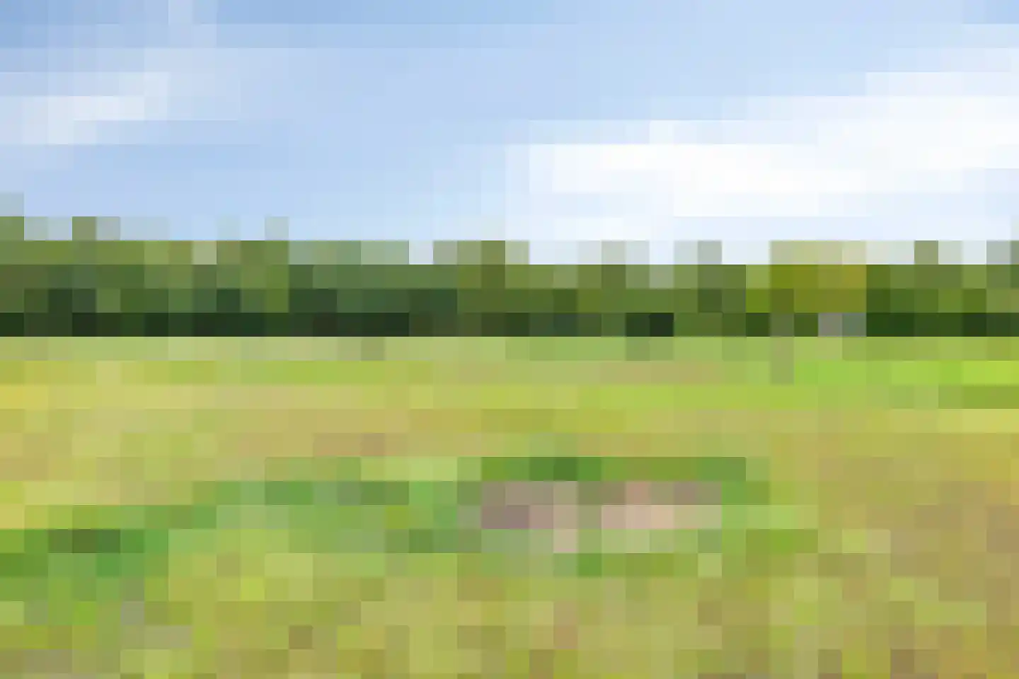 De Vloeivelden 2 Stadskanaal thumbnail 47