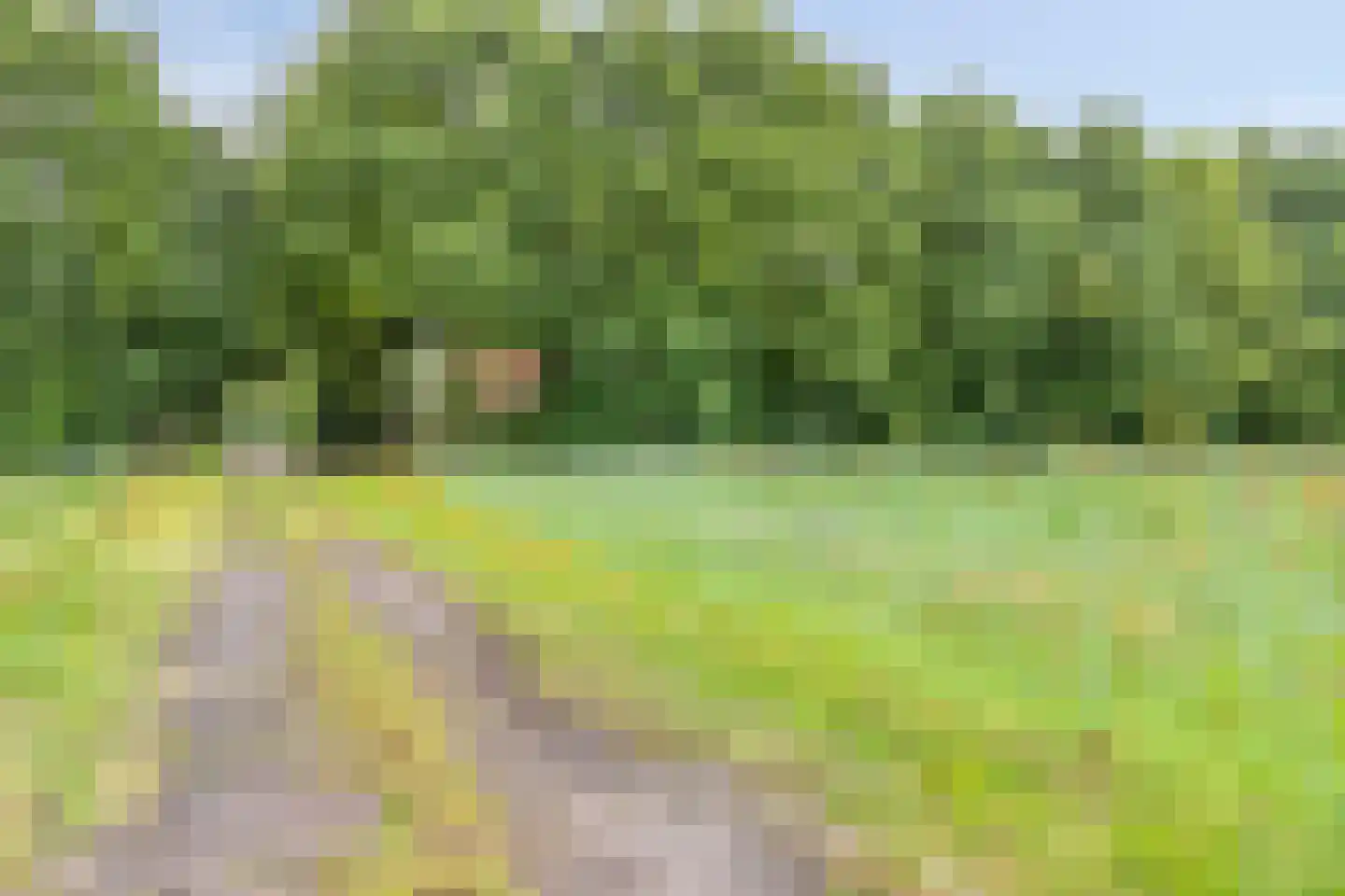 De Vloeivelden 2 Stadskanaal thumbnail 48
