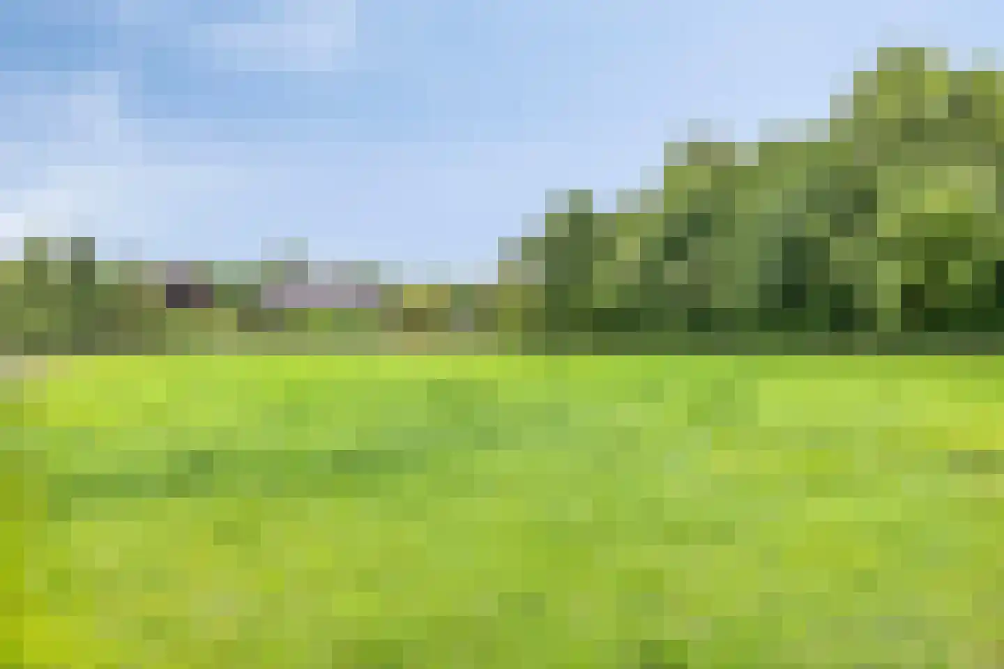 De Vloeivelden 2 Stadskanaal thumbnail 49