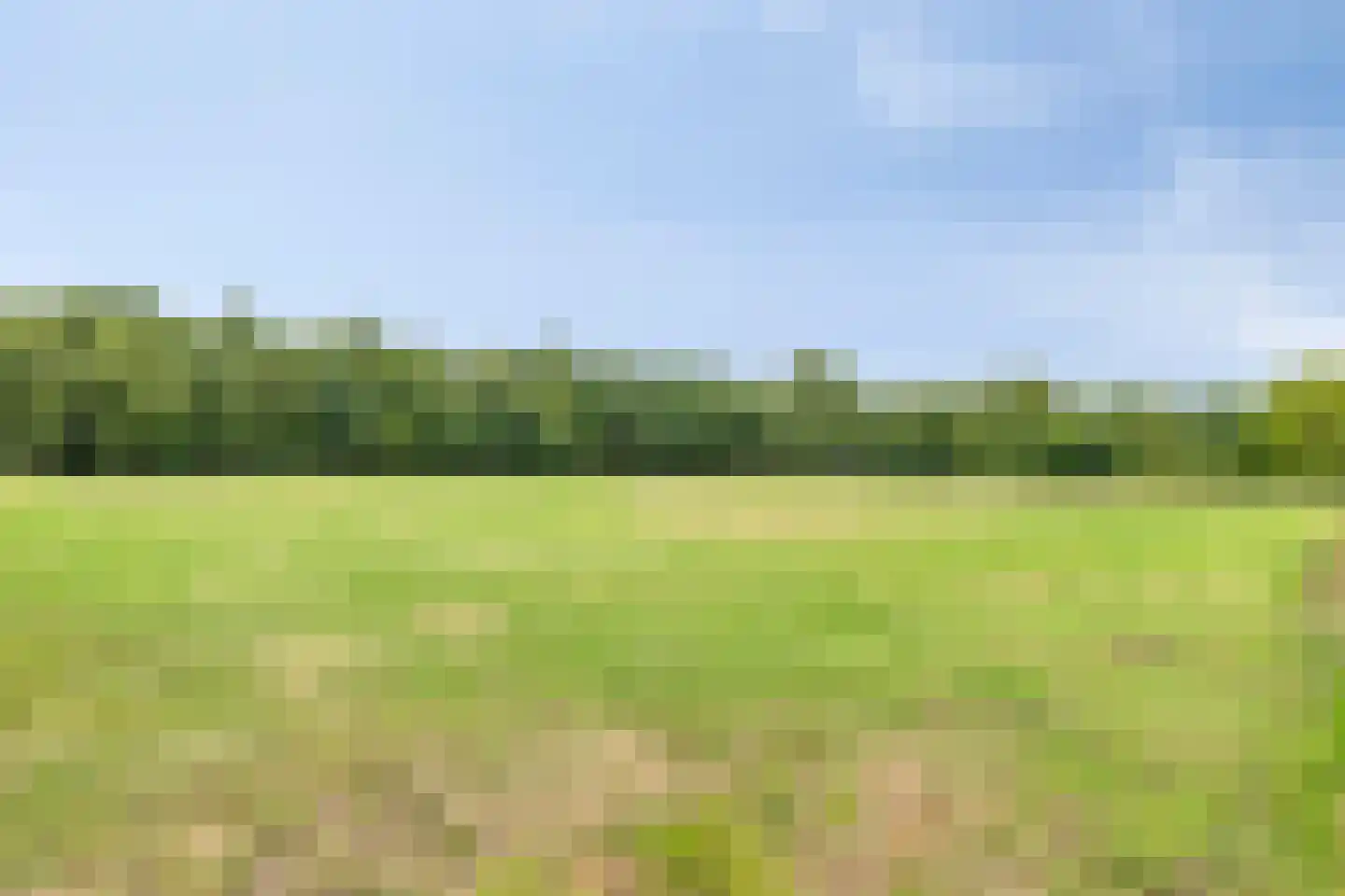 De Vloeivelden 2 Stadskanaal thumbnail 50