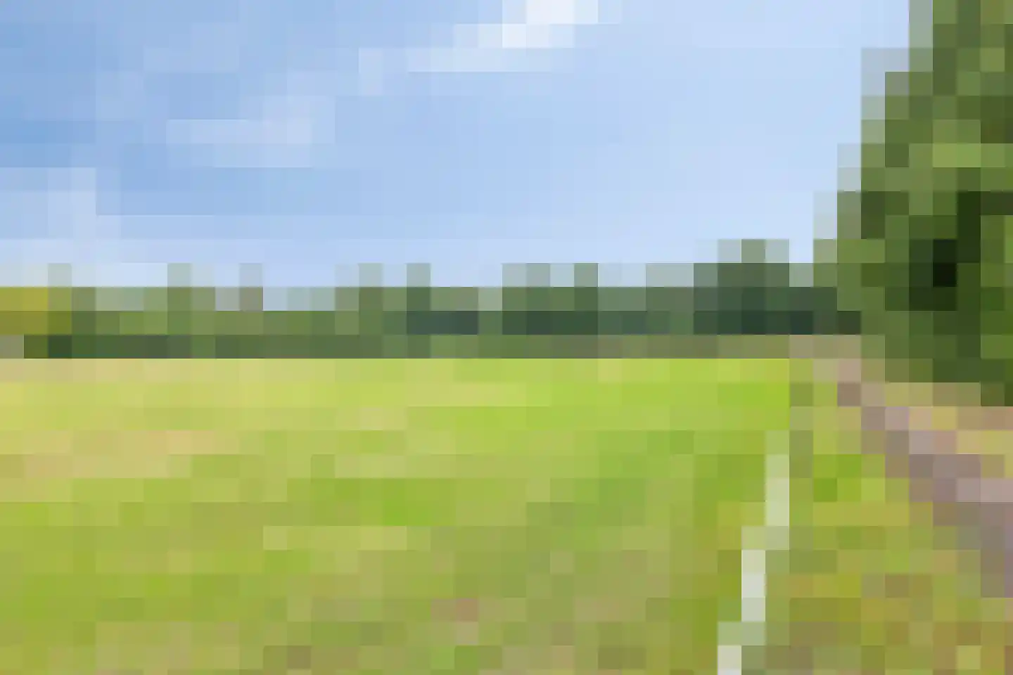 De Vloeivelden 2 Stadskanaal thumbnail 51