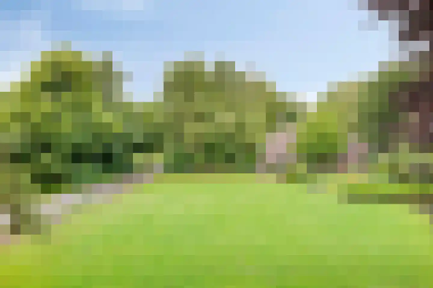 De Vloeivelden 2 Stadskanaal thumbnail 9
