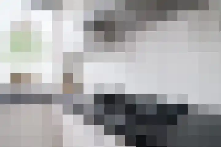de Vloglanden 18 Varsseveld thumbnail 17
