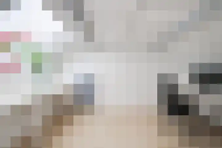 de Vloglanden 18 Varsseveld thumbnail 30