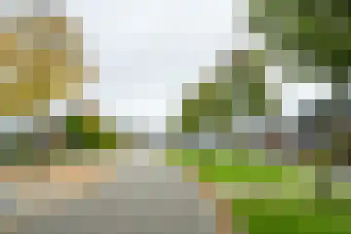 de Vloglanden 18 Varsseveld thumbnail 38