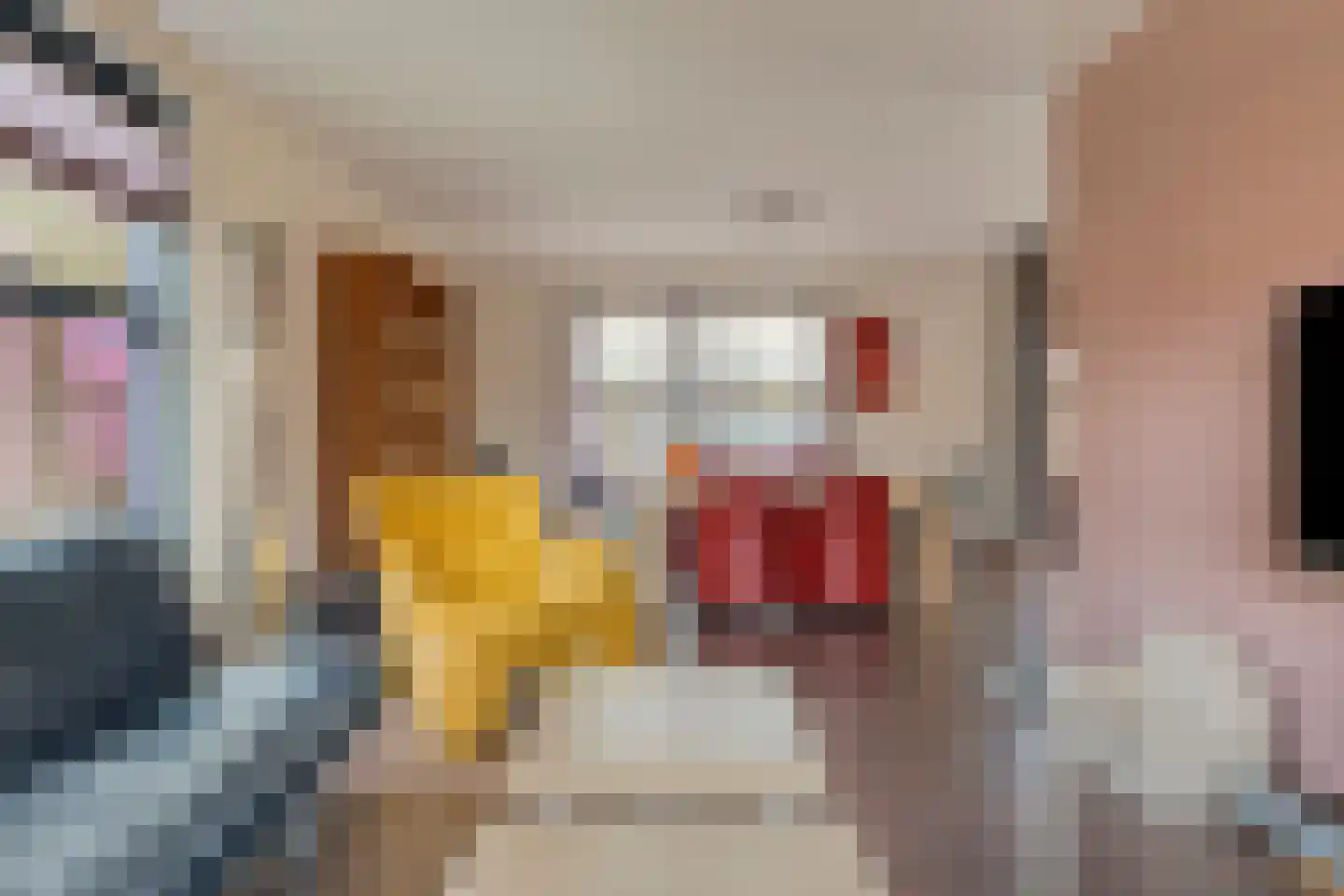 De Vlonder 8 10 Boekel thumbnail 13