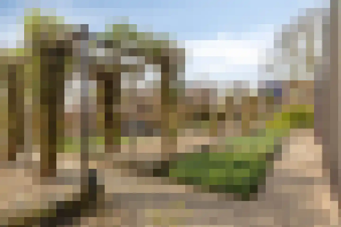 De Vlonder 8 10 Boekel thumbnail 34