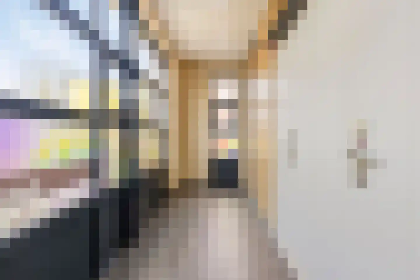 De Vlonder 8 10 Boekel thumbnail 47