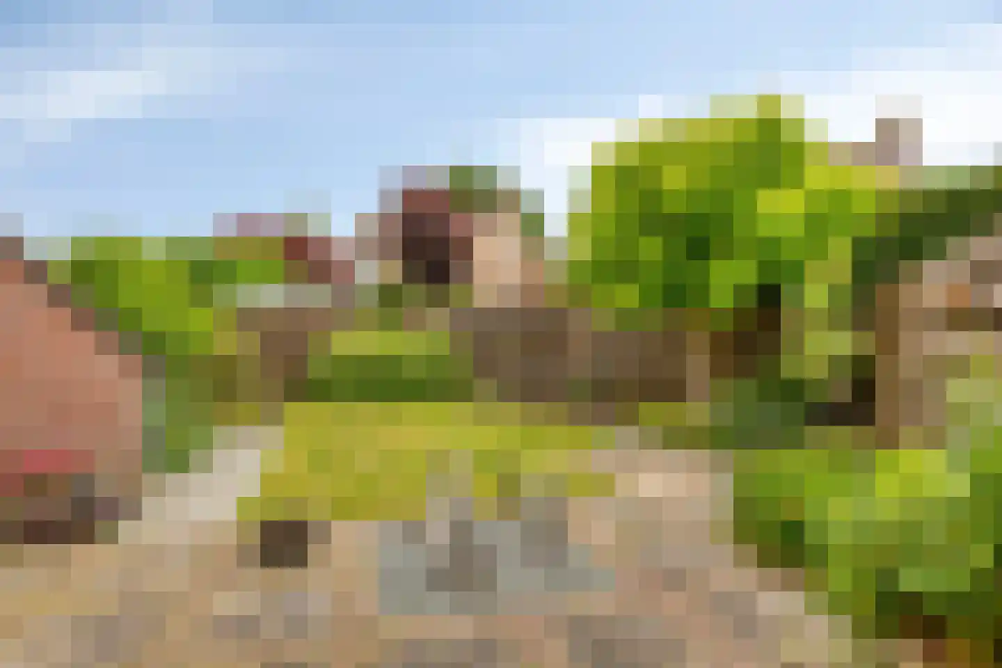 De Vlos 11 Nuenen foto 3