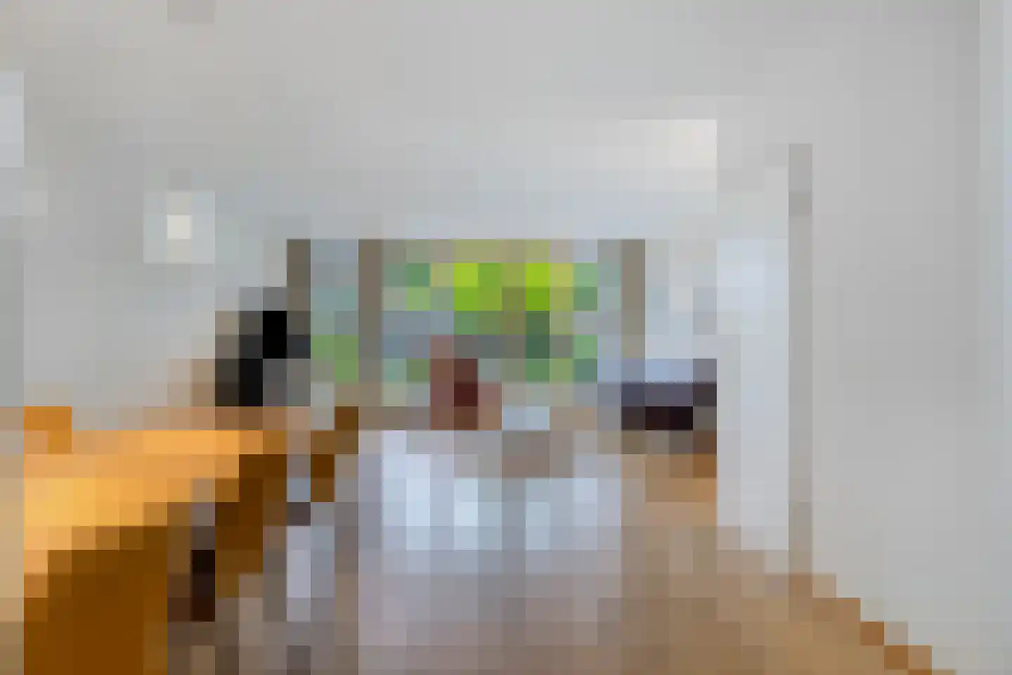 De Vlos 11 Nuenen thumbnail 9