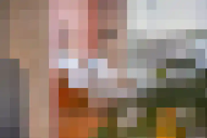 De Vlos 35 Nuenen thumbnail 11