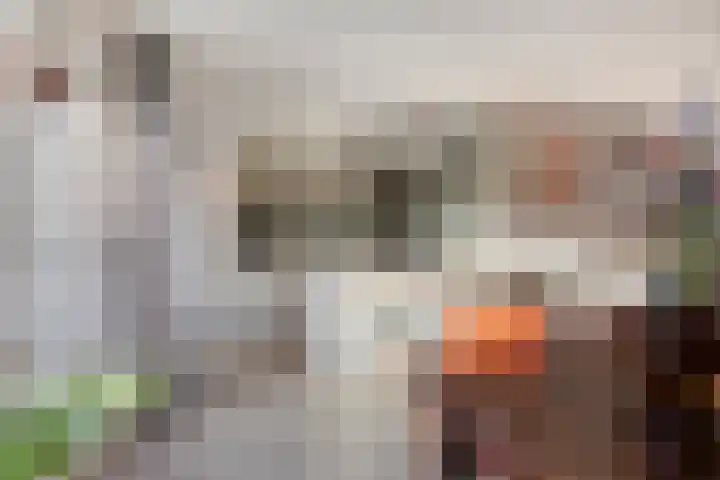 De Vlos 35 Nuenen thumbnail 21