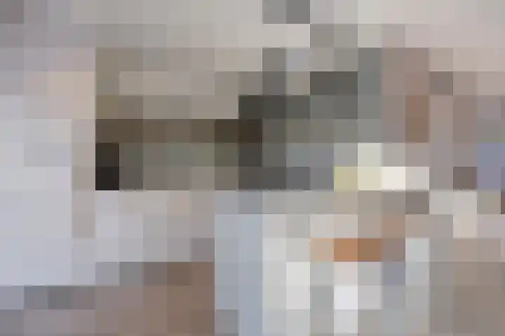 De Vlos 35 Nuenen thumbnail 26
