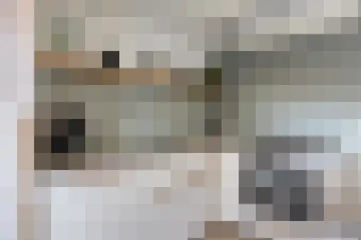 De Vlos 35 Nuenen thumbnail 28