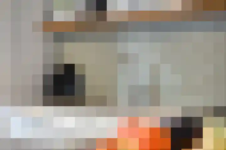 De Vlos 35 Nuenen thumbnail 29
