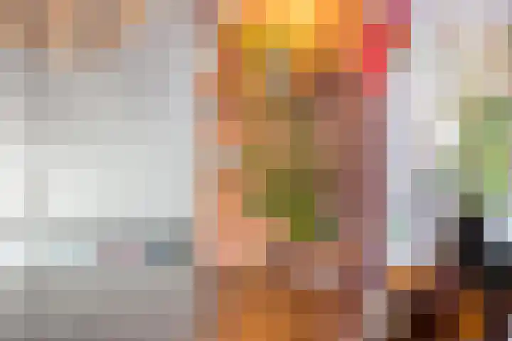 De Vlos 35 Nuenen thumbnail 30