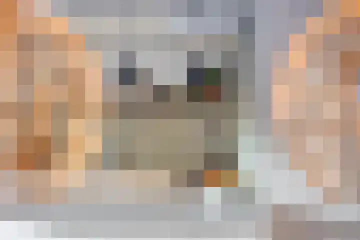 De Vlos 35 Nuenen thumbnail 31