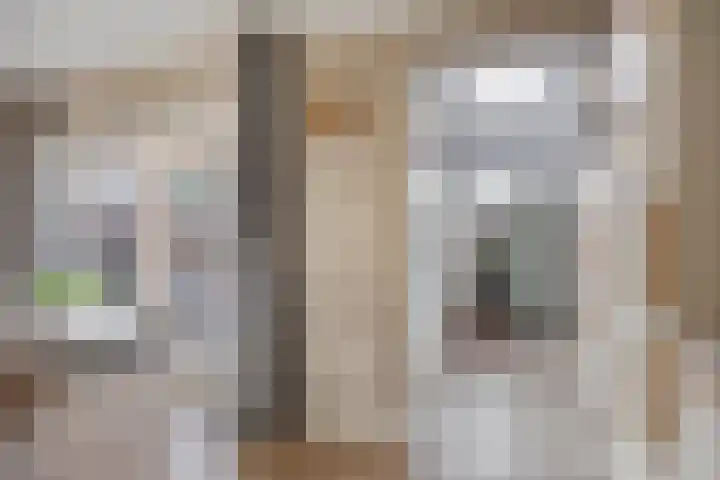 De Vlos 35 Nuenen thumbnail 33