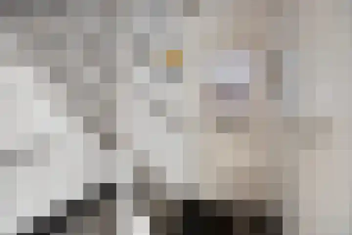 De Vlos 35 Nuenen thumbnail 38