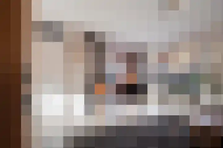 De Vlos 35 Nuenen thumbnail 4