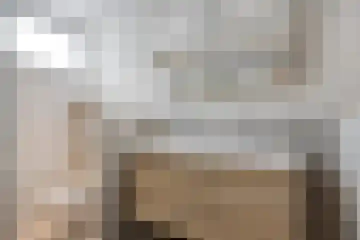 De Vlos 35 Nuenen thumbnail 44
