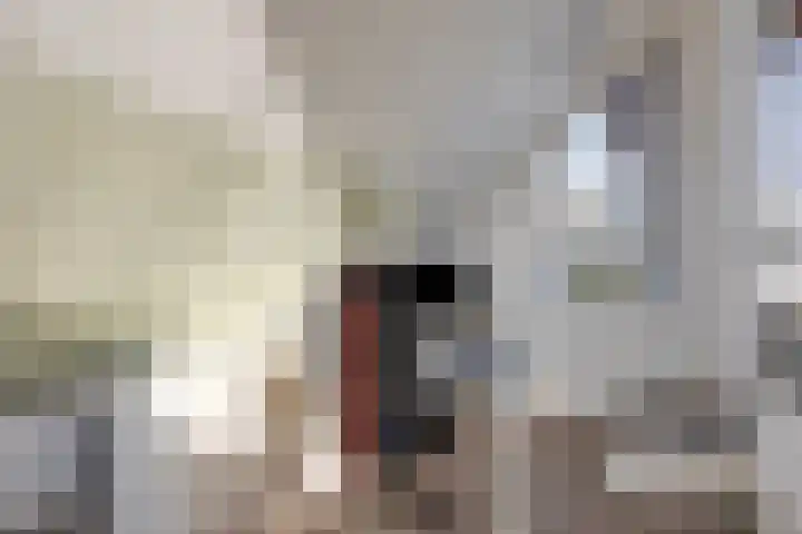 De Vlos 35 Nuenen thumbnail 47
