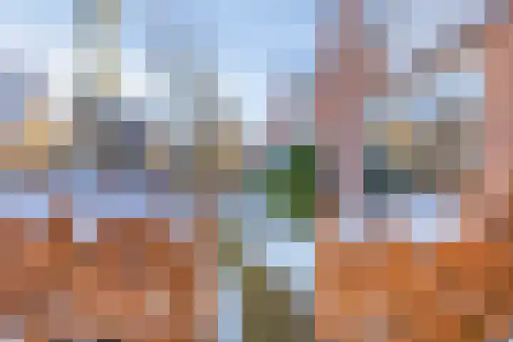 De Vlos 35 Nuenen thumbnail 54