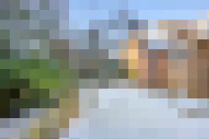 De Vlos 35 Nuenen thumbnail 64