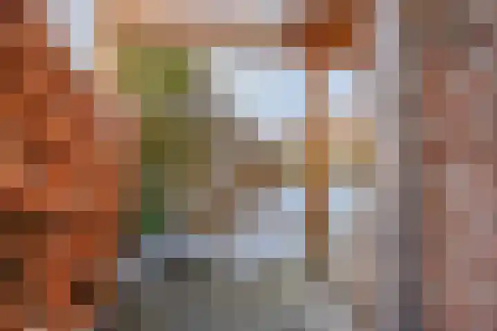De Vlos 35 Nuenen thumbnail 65