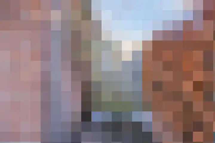 De Vlos 35 Nuenen thumbnail 66