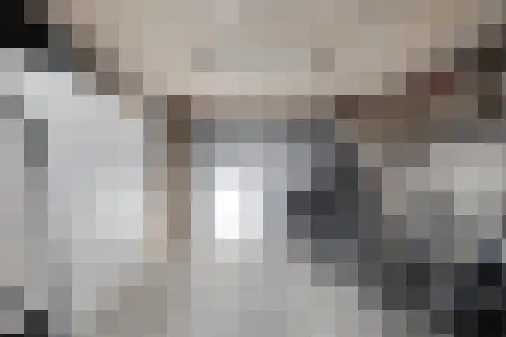 De Vlos 35 Nuenen thumbnail 71