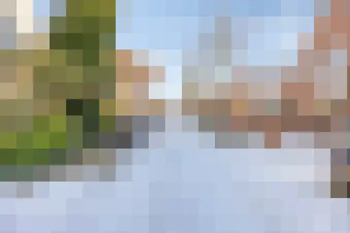 De Vlos 35 Nuenen thumbnail 79