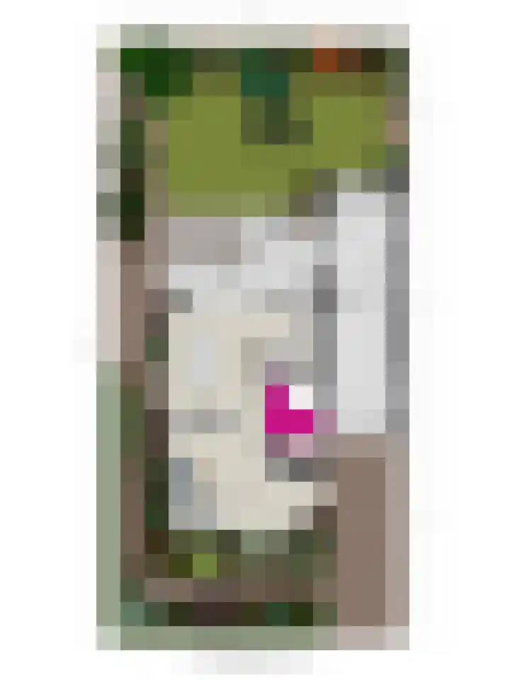 De Vlos 35 Nuenen thumbnail 81