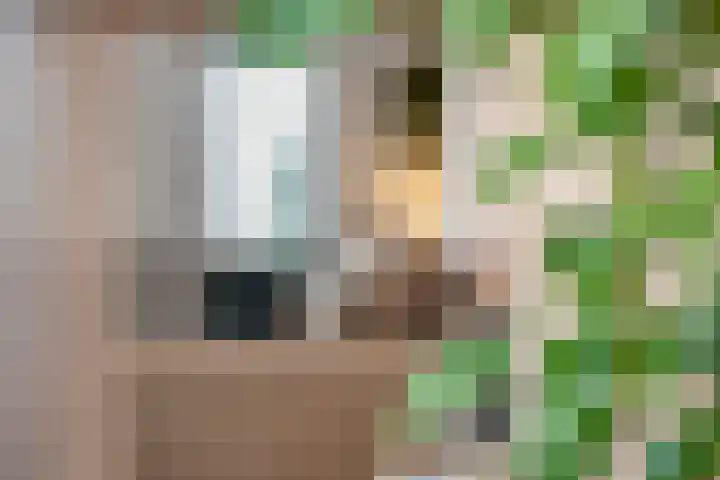 De Vlos 35 Nuenen thumbnail 9