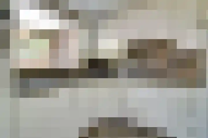 De Vlotbeemden 6 Waalre thumbnail 15