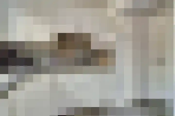 De Vlotbeemden 6 Waalre thumbnail 16