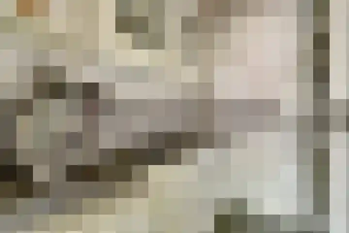 De Vlotbeemden 6 Waalre thumbnail 17