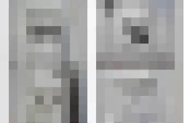 De Vlotbeemden 6 Waalre thumbnail 18