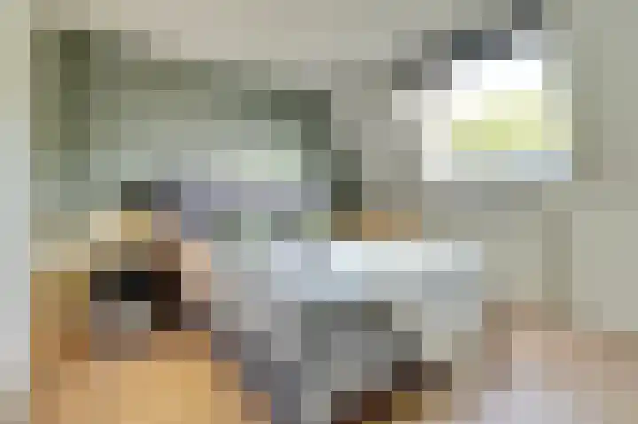 De Vlotbeemden 6 Waalre thumbnail 22