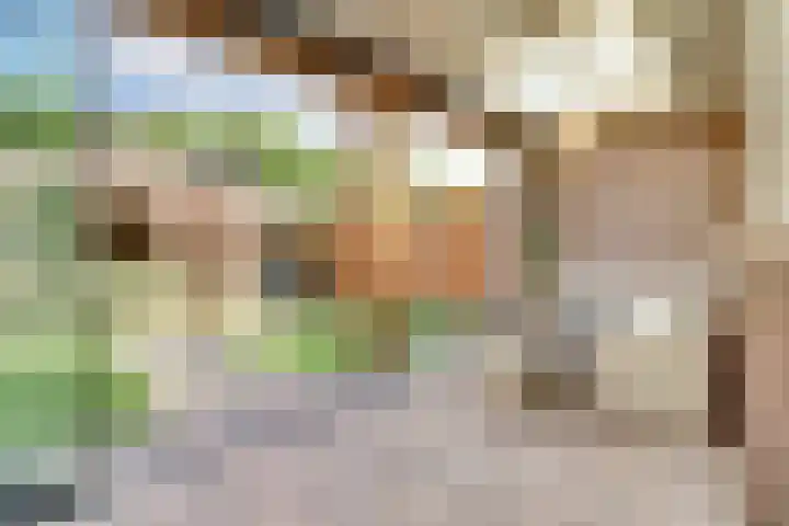 De Vlotbeemden 6 Waalre thumbnail 31