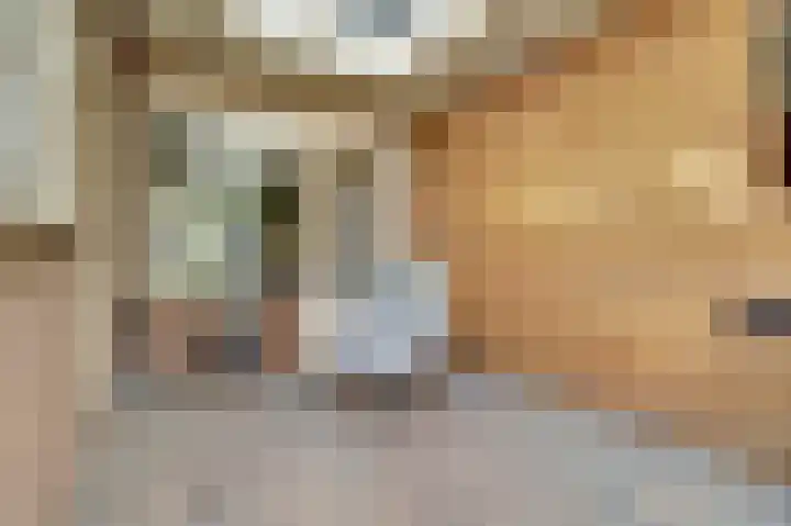 De Vlotbeemden 6 Waalre thumbnail 33