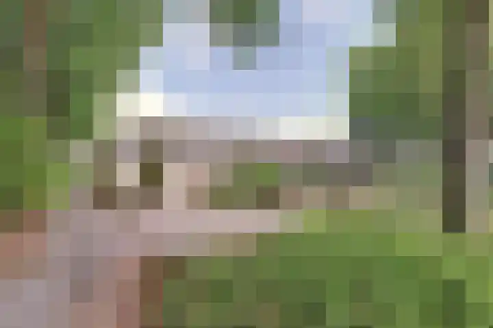 De Vlotbeemden 6 Waalre thumbnail 38