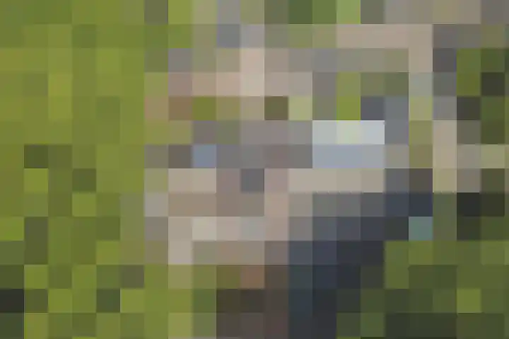 De Vlotbeemden 6 Waalre thumbnail 39