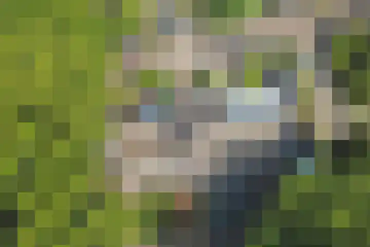 De Vlotbeemden 6 Waalre thumbnail 40